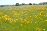 Property for sale in Yolo County, California