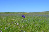 Property for sale in Butte County, California