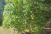 Property for sale in Rensselaer County, New York