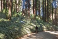 Property for sale in San Mateo County, California