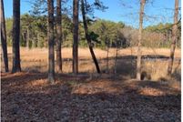 Undeveloped Land for sale in Sussex County, Delaware