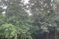 Property for sale in Benton County, Arkansas