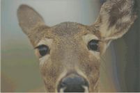 Property for sale in Wayne County, Pennsylvania