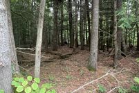 Property for sale in York County, Maine