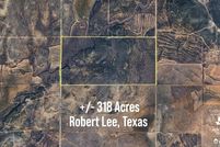 Undeveloped Land for sale in Coke County, Texas