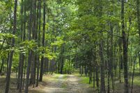 Property for sale in Talladega County, Alabama