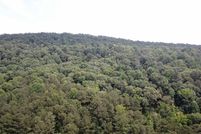 Property for sale in Jefferson County, Alabama