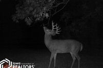 Property for sale in Appanoose County, Iowa