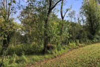 Property for sale in Surry County, North Carolina