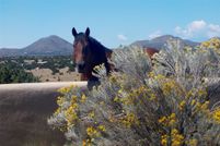 Residential Property for sale in Santa Fe County, New Mexico