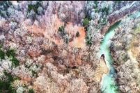 Undeveloped Land for sale in Green County, Kentucky