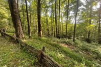 Farm Property for sale in Jackson County, North Carolina