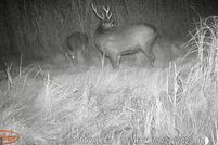 Recreational Property for sale in Dorchester County, Maryland