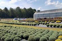 Property for sale in Chesterfield County, South Carolina