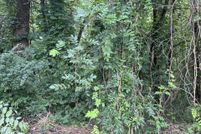 Undeveloped Land for sale in Stanly County, North Carolina