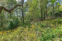 Property for sale in Buncombe County, North Carolina