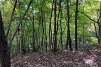 Property for sale in Rutherford County, North Carolina