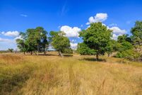 Undeveloped Land for sale in Gillespie County, Texas