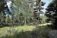 Property for sale in Colfax County, New Mexico