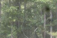 Property for sale in Walker County, Alabama