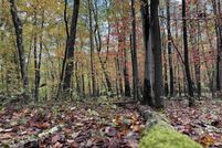 Property for sale in Preston County, West Virginia