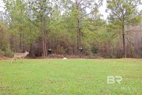 Undeveloped Land for sale in Baldwin County, Alabama