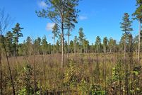 Undeveloped Land for sale in Brunswick County, Virginia