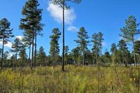 Undeveloped Land for sale in Brunswick County, Virginia