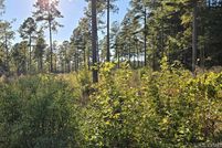 Ranch Property for sale in Brunswick County, Virginia