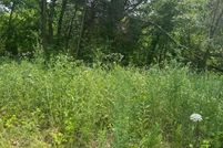 Undeveloped Land for sale in Stoddard County, Missouri