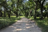 Property for sale in Parker County, Texas