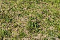 Property for sale in Santa Rosa County, Florida