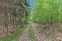 Undeveloped Land for sale in Lake County, Michigan