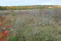 Undeveloped Land for sale in Oceana County, Michigan