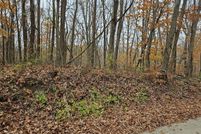 Undeveloped Land for sale in Berrien County, Michigan