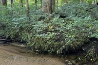 Property for sale in Van Buren County, Michigan