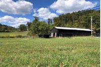 Property for sale in Lewis County, Kentucky