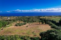 Undeveloped Land for sale in Hawaii County, Hawaii