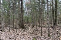 Property for sale in Mason County, Michigan