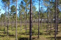 Property for sale in Houston County, Alabama