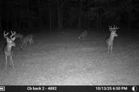 Property for sale in Dallas County, Alabama