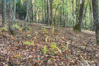 Property for sale in Henderson County, North Carolina