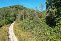Undeveloped Land for sale in Boone County, West Virginia