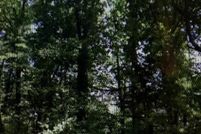 Property for sale in Roanoke County, Virginia