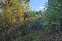 Property for sale in Lewis County, Kentucky