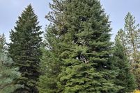 Property for sale in Adams County, Idaho