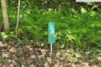 Property for sale in Ashe County, North Carolina