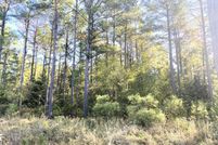Undeveloped Land for sale in Little River County, Arkansas
