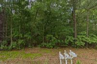 Undeveloped Land for sale in Scotland County, North Carolina