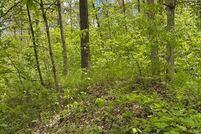 Property for sale in Centre County, Pennsylvania